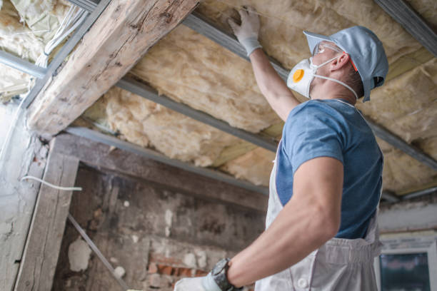 Best Types of Insulation in Plainview, TN