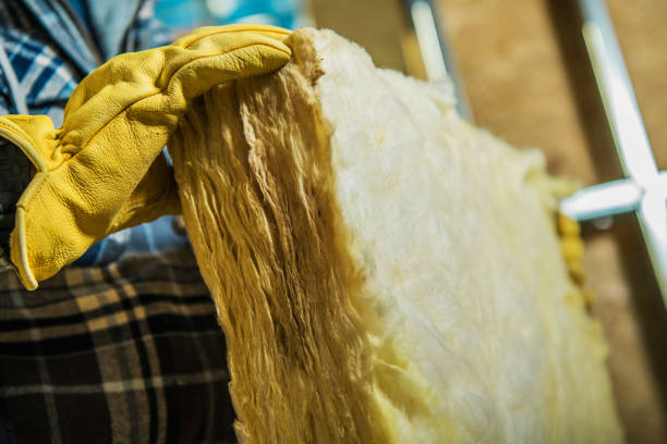 Best Insulation Maintenance and Repair in Plainview, TN